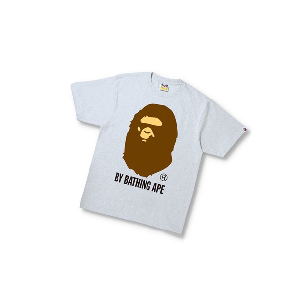 A BATHING APE Bape By Bathing Ape Tee Rövid Sleeve Polo Férfi Szürke | MDI-041697